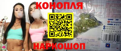 стаф Гусев