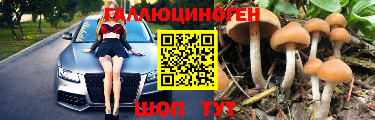 Псилоцибиновые грибы Psilocybine cubensis  Вход с VPN  Вольск  купить  цена  Галлюциногенные грибы Psilocybe 